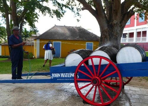 Wedding Transportation Nassau