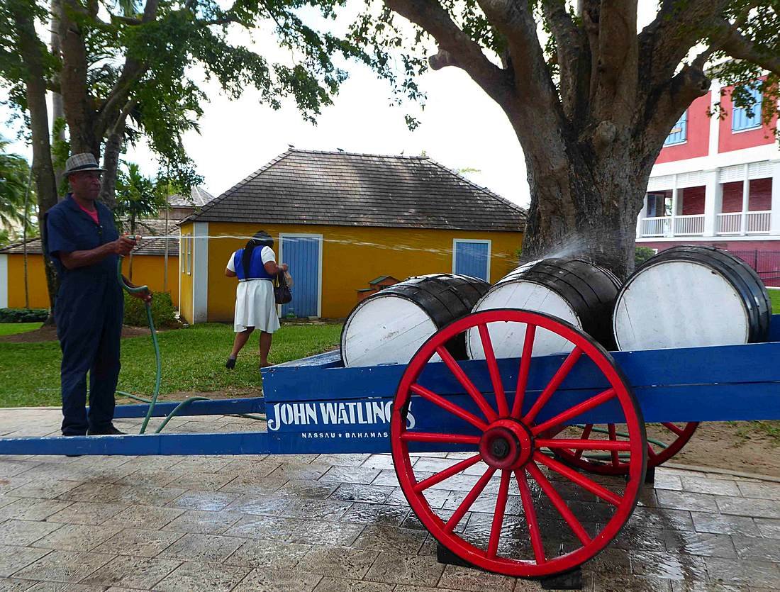 Tasting Tours – 1 Hour Experience - Image 8